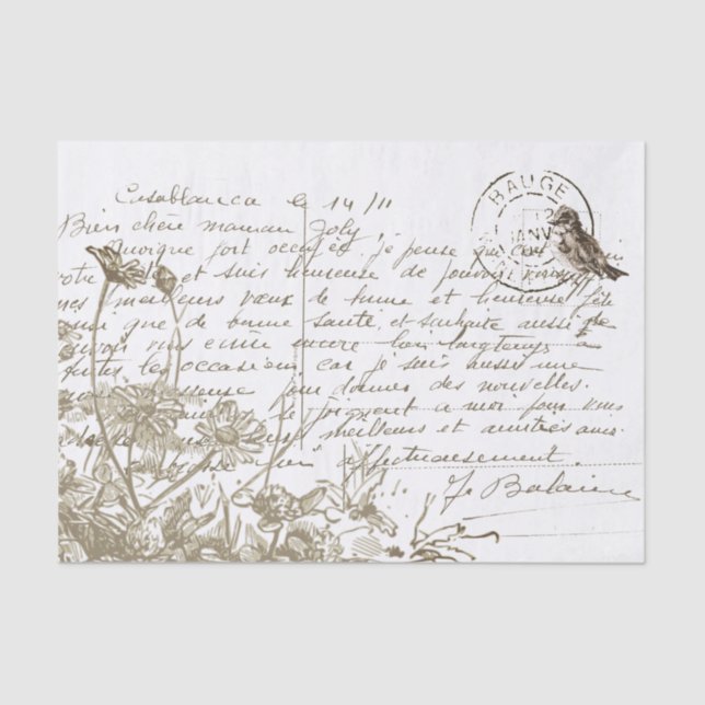 Carte Postale French Wildflower Bird Vintage Tissue Paper (Front)
