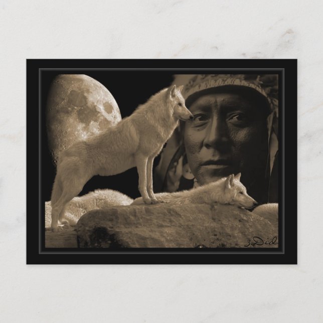 carte postale Indien loup Postcard (Front)