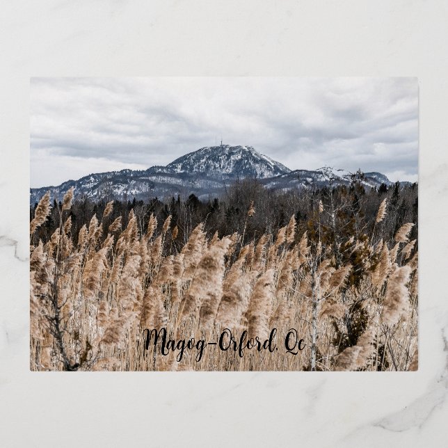 Carte postale Magog-Orford, Qc Foil Holiday Postcard (Front)