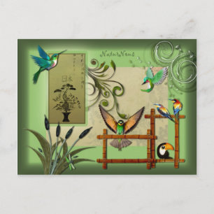 carte postale oiseaux nature postcard