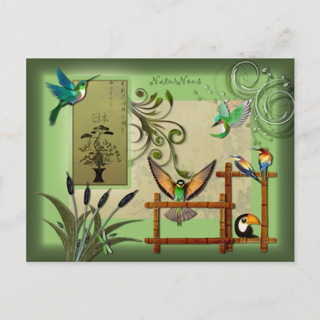 carte postale oiseaux nature postcard (Front)