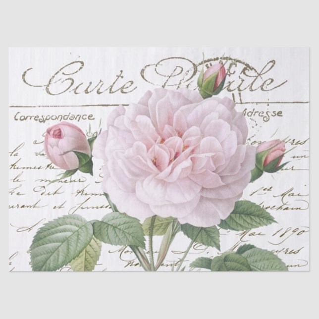 Carte Postale Pink Redouté Rose Gold French Script Tissue Paper (Front)
