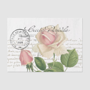 Carte Postale Pink Rose French Script Vintage      Tissue Paper