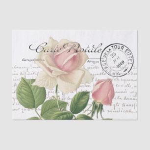 Carte Postale Pink Rose French Script Vintage Tissue Paper