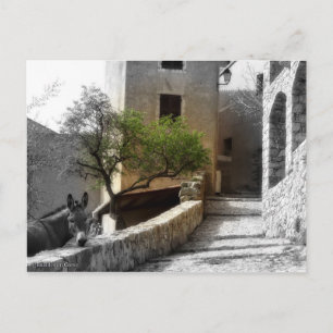 Carte postale SANT'ANTONINO Postcard