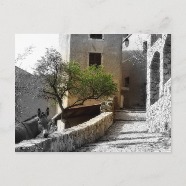 Carte postale SANT'ANTONINO Postcard (Front)