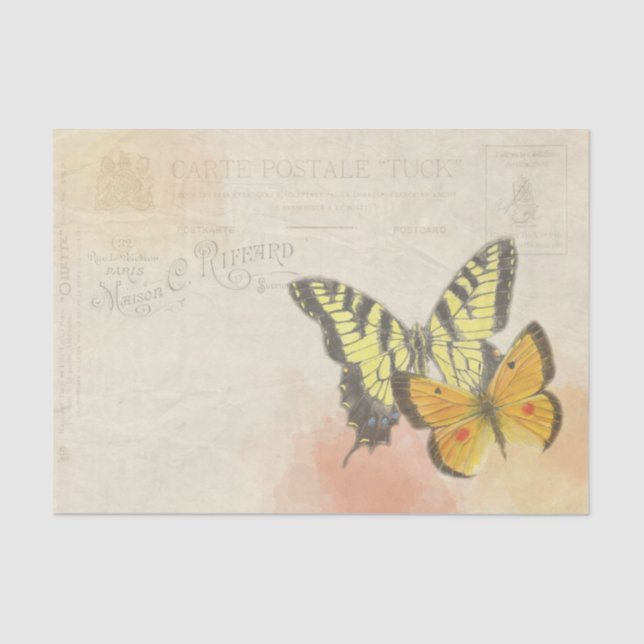 Carte Postale Two Large Yellow Orange Butterflies Tissue Paper (Front)