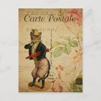 Carte Postale. Vintage Cat. Postcard