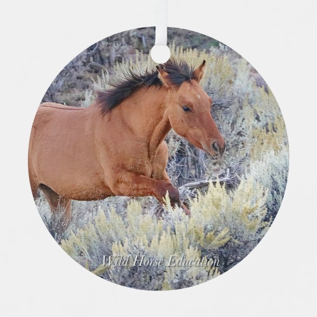 Carter Colt, Wild Horse Ornament (Front)