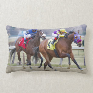 Carthon Lumbar Cushion