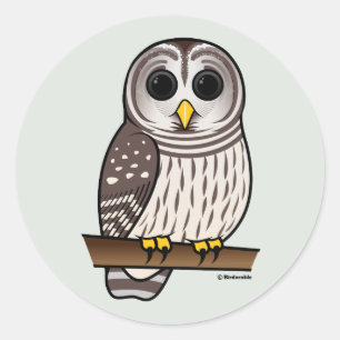 Cartoon Barred Owl Classic Round Sticker