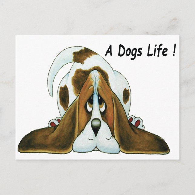 Cartoon Basset Hound, A Dog's Life Postcard (Front)