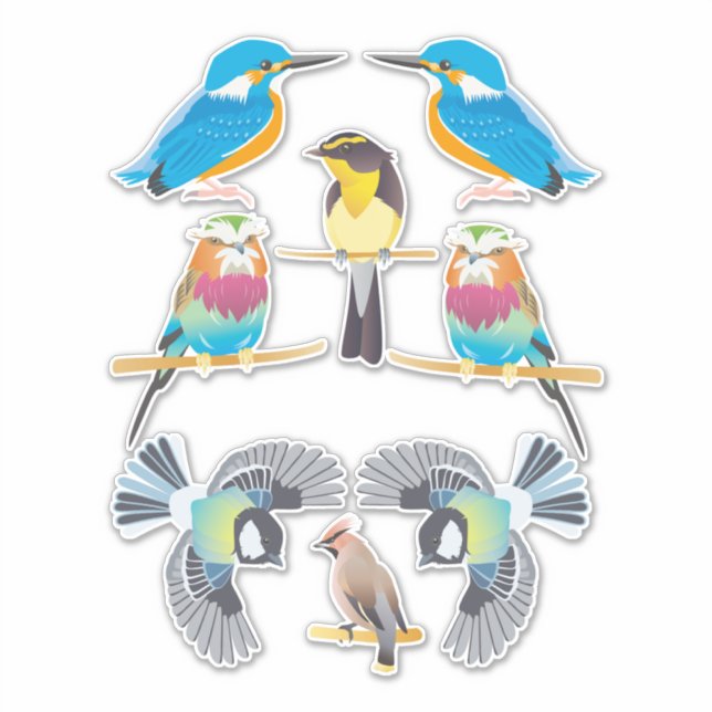 Cartoon Birds Clip art animal nature (Front)