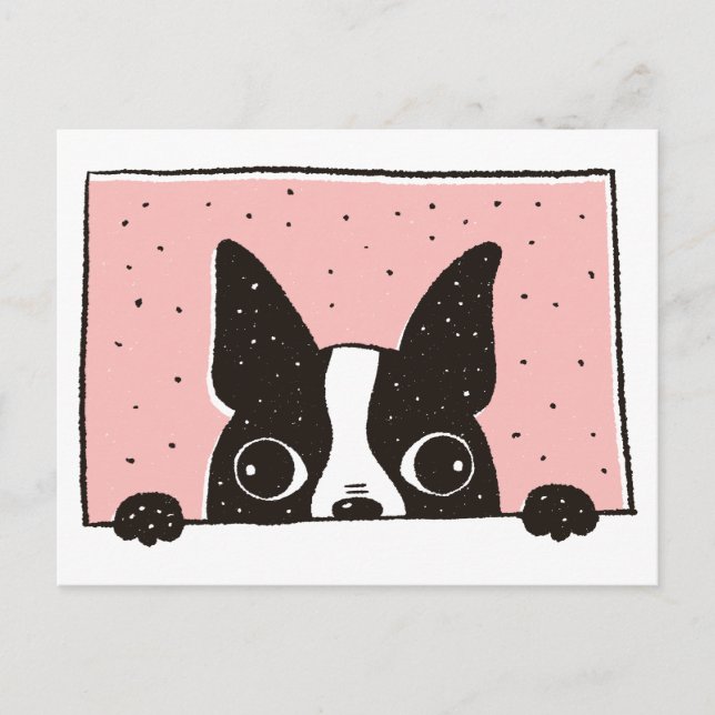 Cartoon Boston Terrier at the Window Postcard (Front)