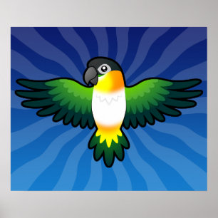 Cartoon Caique / Lovebird / Pionus / Parrot Poster
