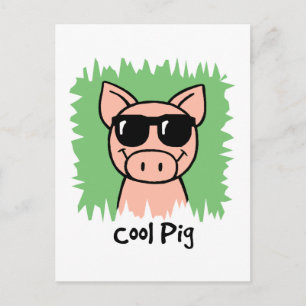 Cartoon Clip Art Cool Pig with Sunglasses Postcard
