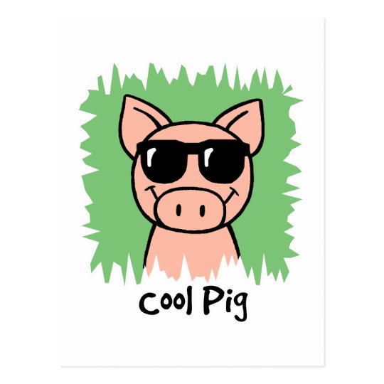 Cartoon Clip Art Cool Pig With Sunglasses Postcard Uk