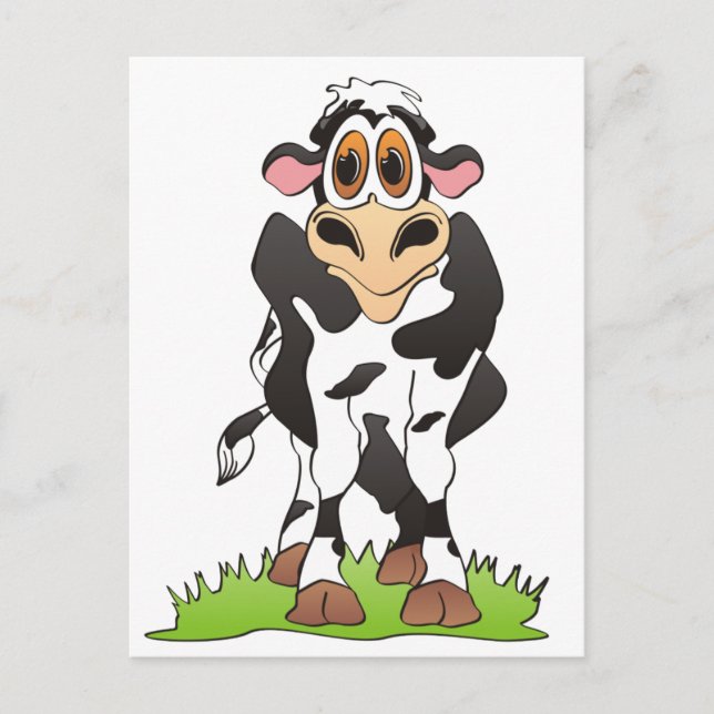 Cartoon Cow  Holstein Postcard (Front)
