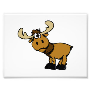 Cartoon Curious moose   choose background colour Photo Print