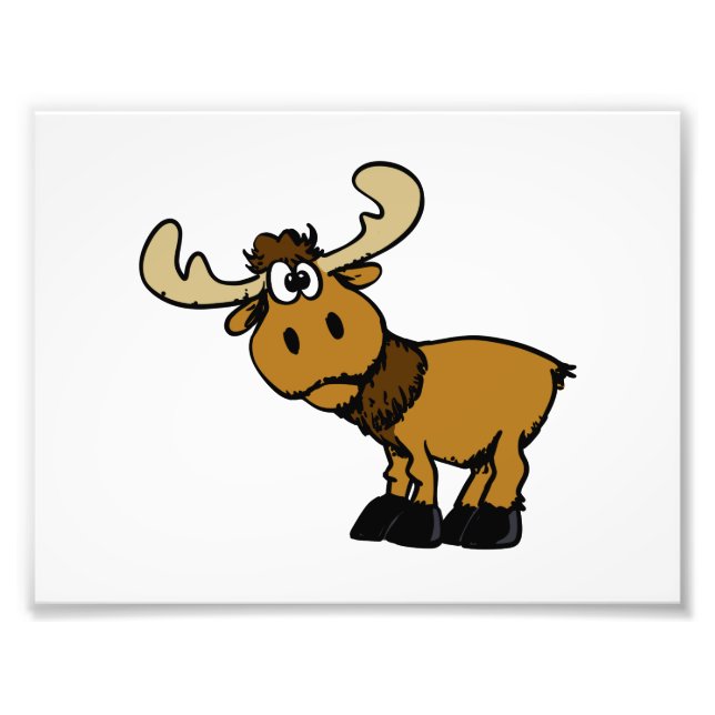 Cartoon Curious moose | choose background colour Photo Print (Front)
