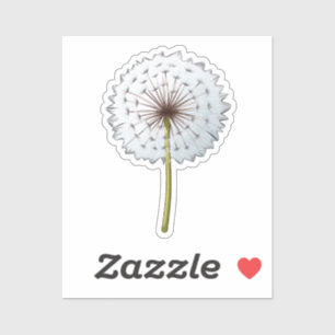 Cartoon dandelion illustration