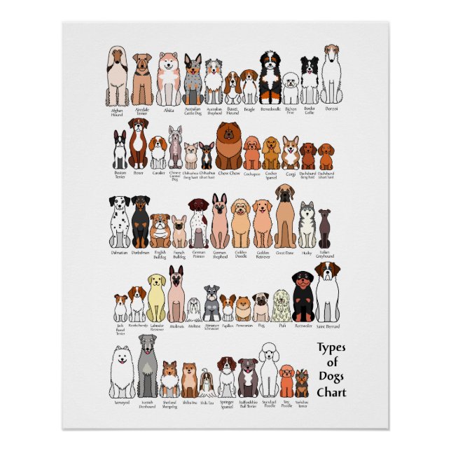 cartoon dog breeds poster (Front)