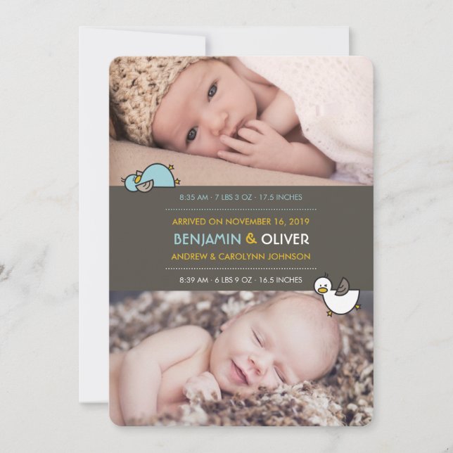 Cartoon Ducks Baby Boys Twins Birth Announcement (Front)