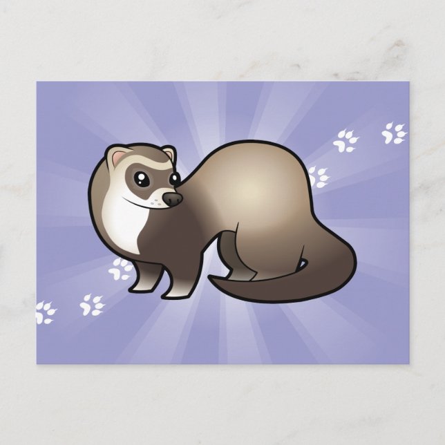 Cartoon Ferret Postcard (Front)