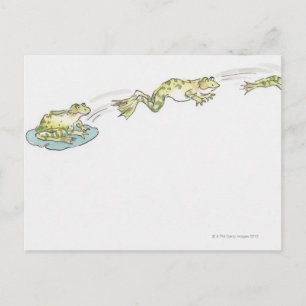 Cartoon Frog Postcard