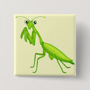Cartoon Green Praying Mantis Flair 15 Cm Square Badge