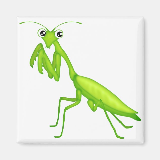 Cartoon Green Praying Mantis Magnets (Front)