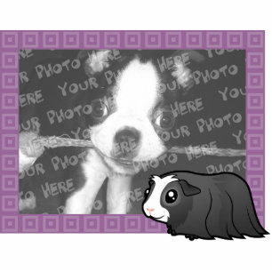 Cartoon Guinea Pig Photo Frame (long hair) Photo Sculpture Magnet