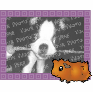 Cartoon Guinea Pig Photo Frame (scruffy) Photo Sculpture Magnet
