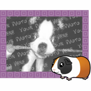 Cartoon Guinea Pig Photo Frame (smooth hair) Photo Sculpture Magnet