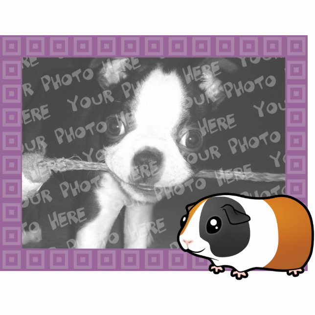 Cartoon Guinea Pig Photo Frame (smooth hair) Photo Sculpture Magnet (Front)