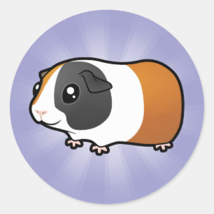 Cartoon Guinea Pig (smooth hair) Classic Round Sticker