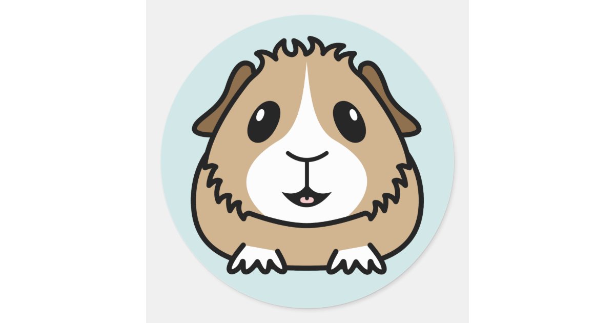 Cartoon Guinea Pig Stickers  Zazzle.co.uk