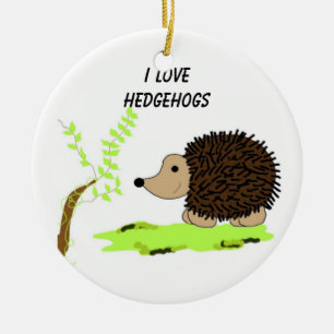 Cartoon Hedgehog Ceramic Tree Decoration