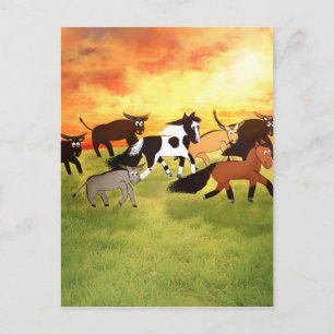 Cartoon Horses running with Bull's Postcard