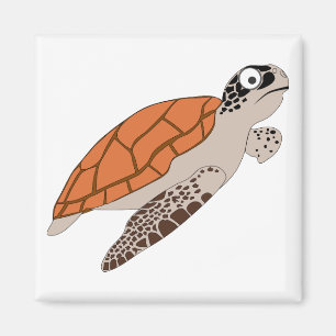 cartoon orange sea turtle magnet