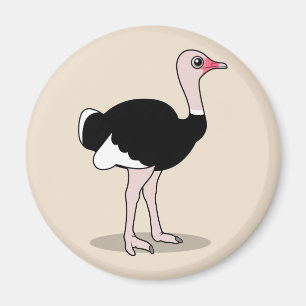 Cartoon Ostrich Magnet