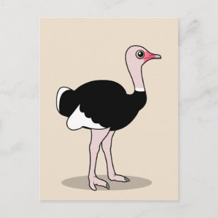 Cartoon Ostrich Postcard
