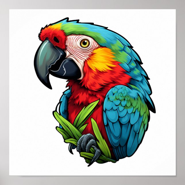 Cartoon parrot illustration poster (Front)