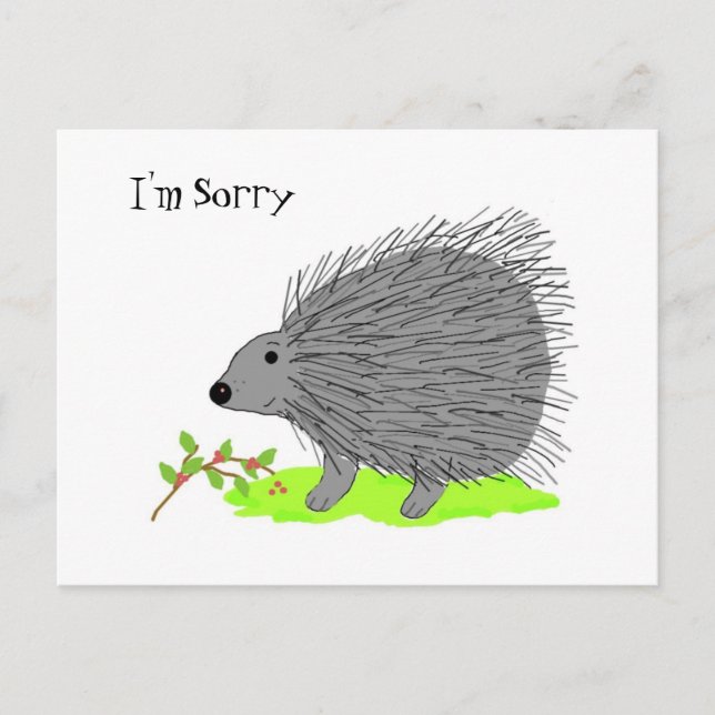 Cartoon Porcupine - I'm Sorry Postcard (Front)