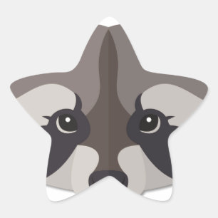 Cartoon Racoon Head Star Sticker