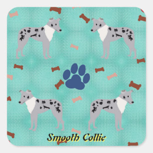 Cartoon Smooth Collie Square Sticker