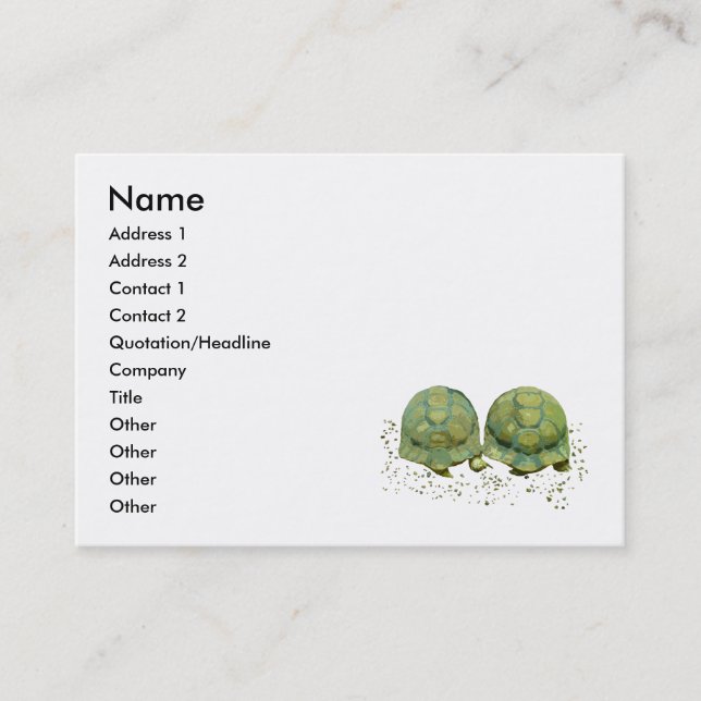Cartoon Turtles Business Card (Front)