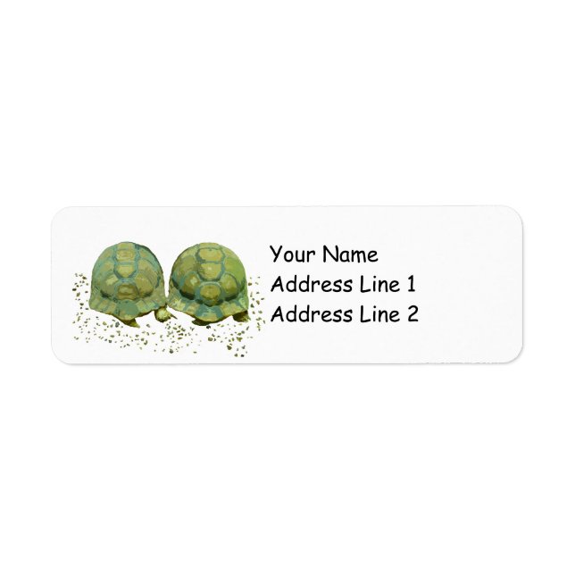 Cartoon Turtles Return Address Label (Front)
