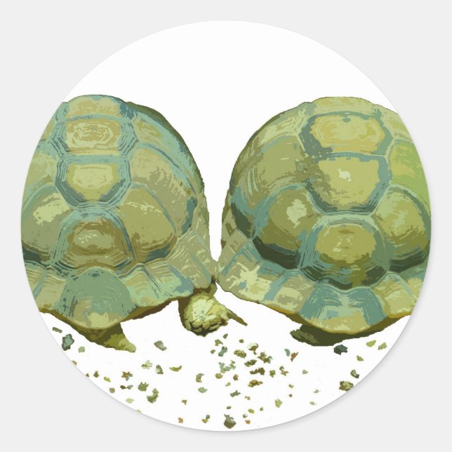 Cartoon Turtles Sticker (Front)