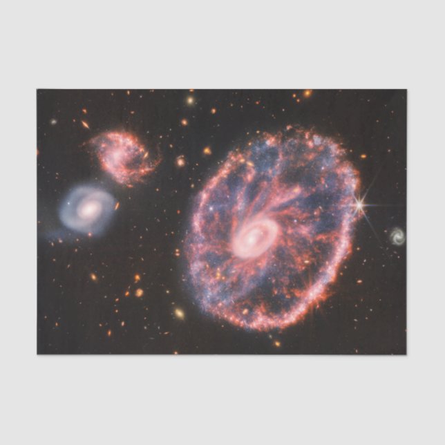 Cartwheel Galaxy, James Webb Space Telescope Tissue Paper (Front)